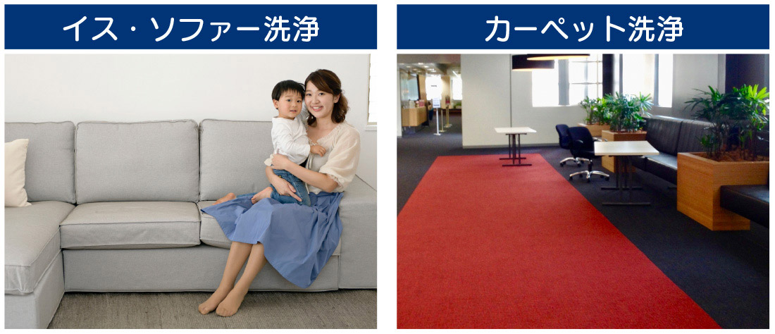 イス・ソファー洗浄／カーペット洗浄